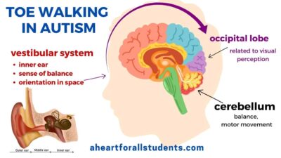 Toe Walking in Autism: Causes, Treatment, and More - A Heart For All ...